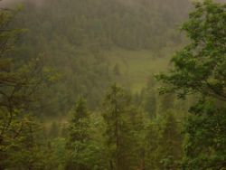 2013-06-22_Hirschhoerndl_Jochberg (232).JPG